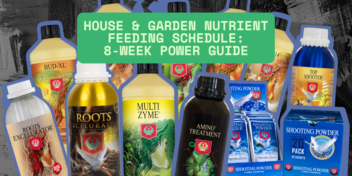 House & Garden Nutrient Feeding Schedule: 8-Week Power Guide