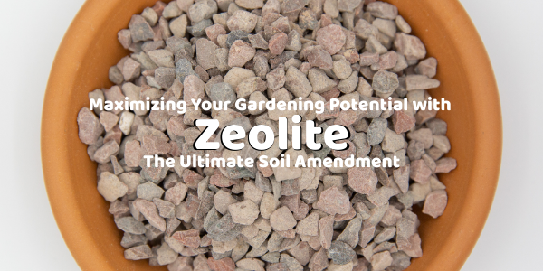 Maximizing Your Gardening Potential with Zeolite: The Ultimate Soil Amendment