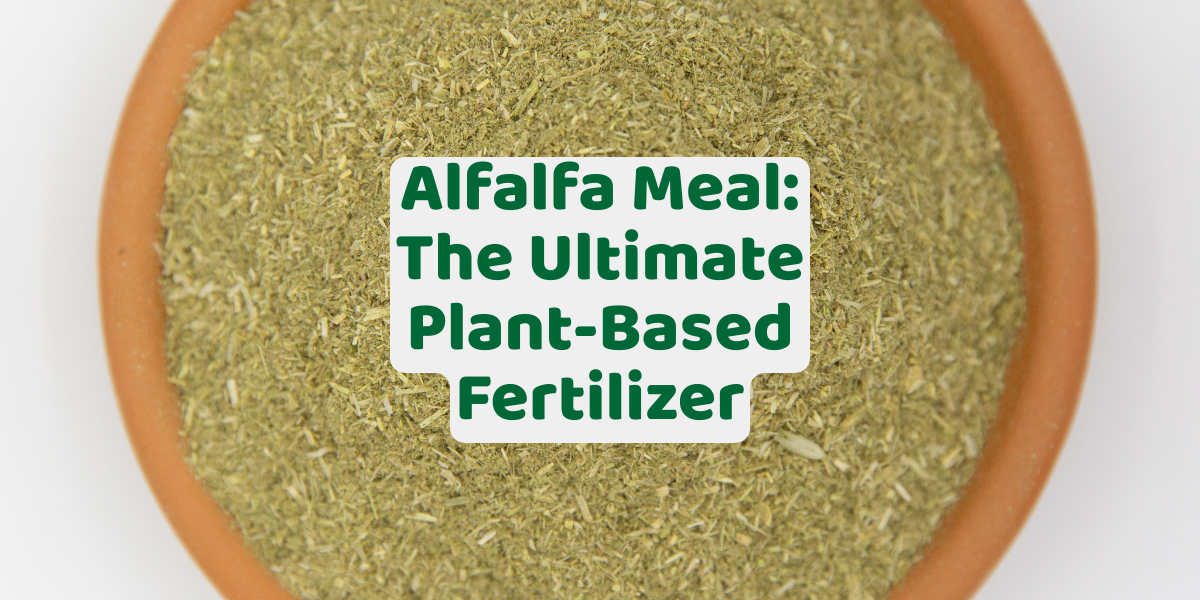 Alfalfa Meal: The Ultimate Plant-Based Fertilizer for Healthy Growth