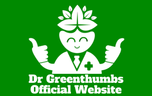 White cartoon doctor with thumbs up and leaves crown.
