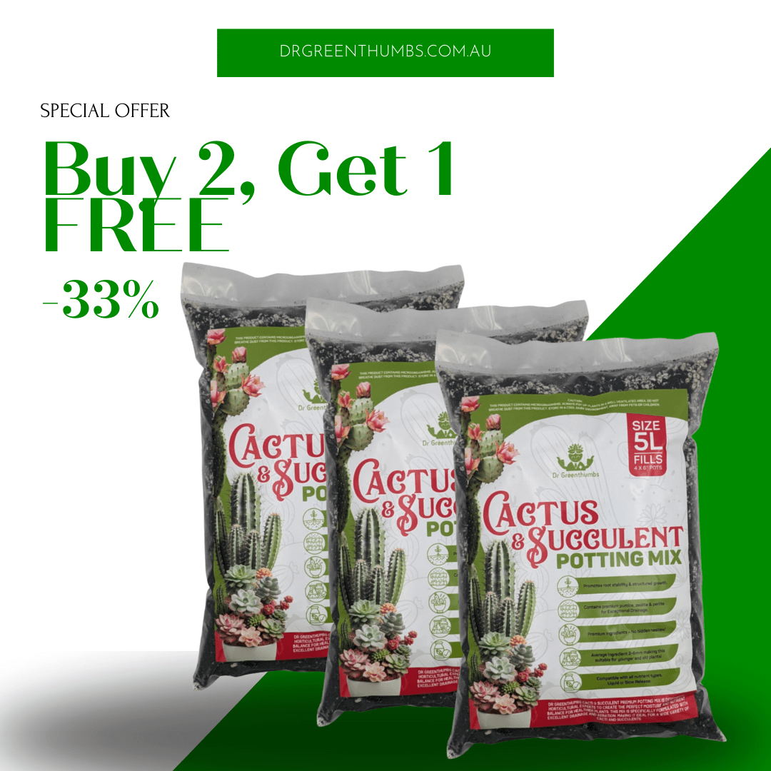Dr Greenthumbs Organic Gardening > Potting Soil & Growing Media 3 x 5L Bags Buy 2 Get 1 Free - Cactus & Succulent Potting Mix