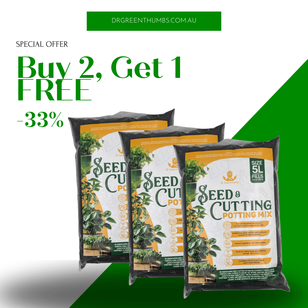 potting mix vs seed raising mix Buy 2 Get 1 Free