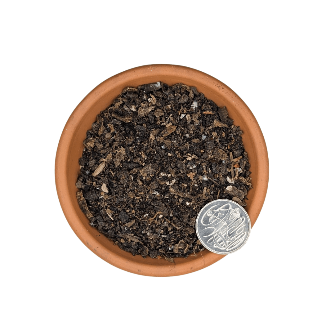 Dr Greenthumbs Organic Gardening > Potting Soil & Growing Media > Compost, Frass & Worm Castings Insect Frass (High Calcium & Chitin)