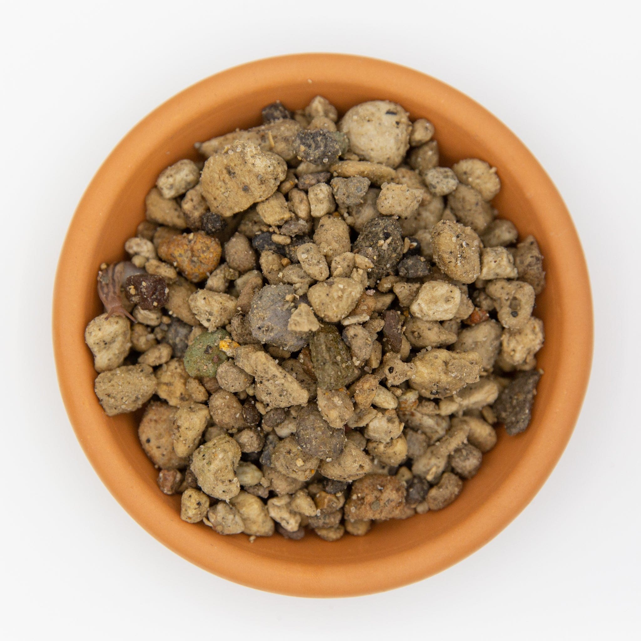 Dr Greenthumbs Grow Mediums Pumice 4-20mm (Cactus/Succulent/Bonsai)