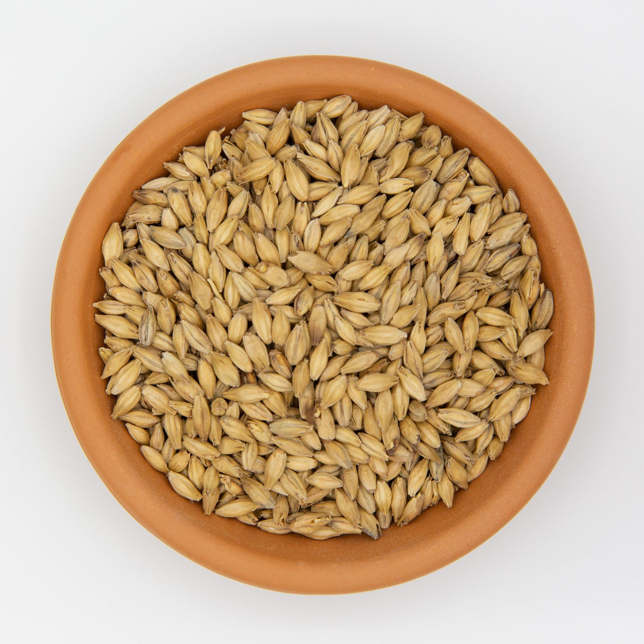 Dr Greenthumbs Soil Amendments Malted Barley (Growth Hormones & IAA)