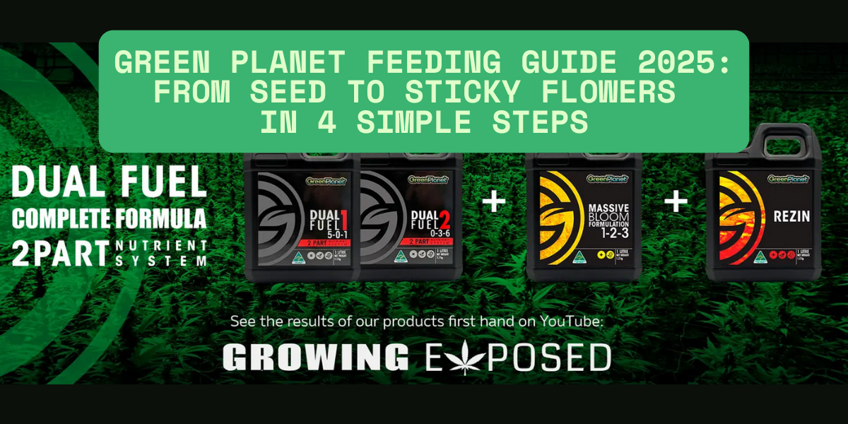 Green Planet Feeding Guide 2025: From Seed to Sticky Flowers  in 4 Simple Steps