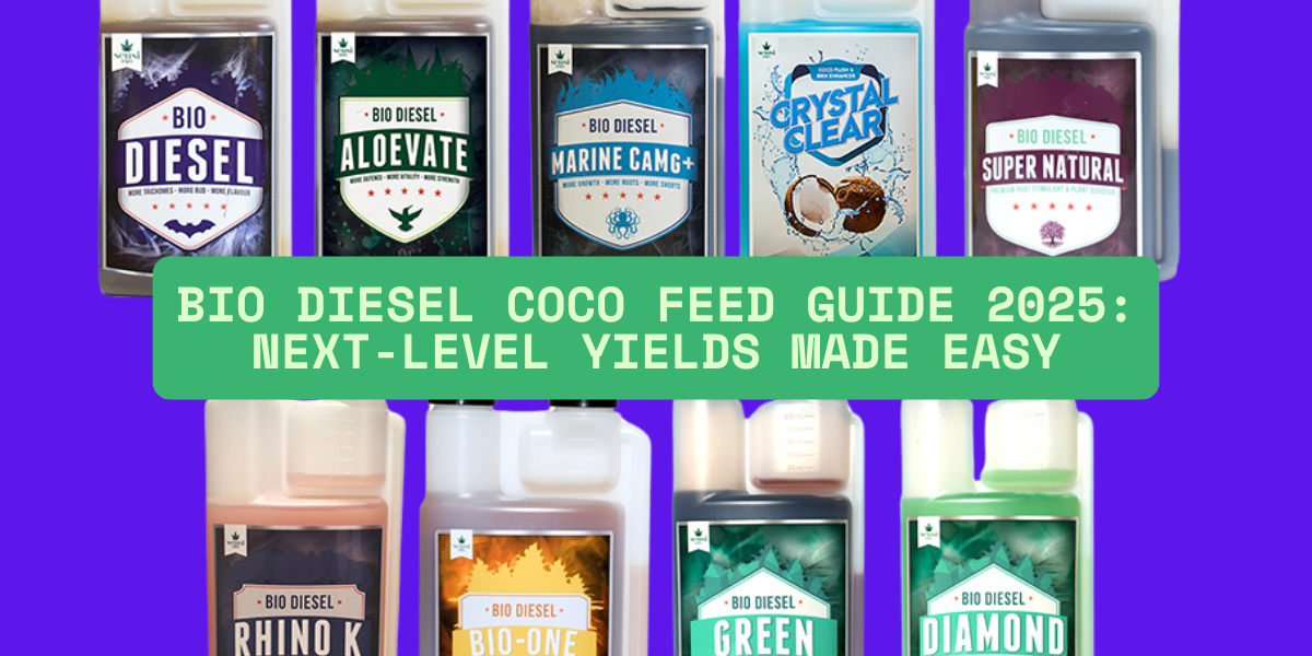 Bio Diesel Coco Feed Guide 2025: Next-Level Yields Made Easy