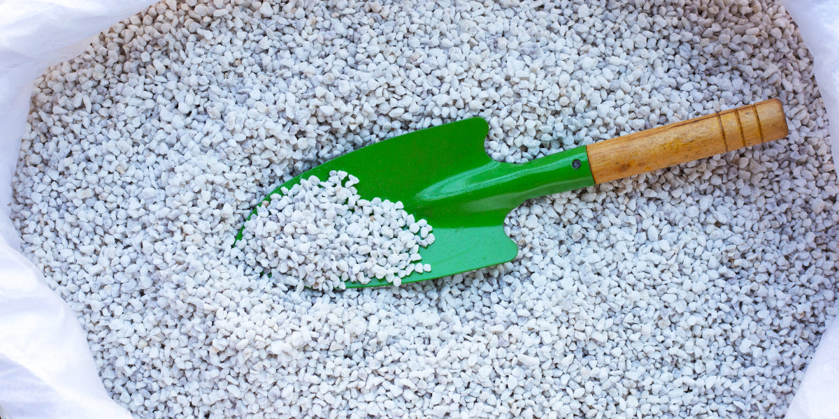 Pumice vs Perlite: Which is the Best Choice for Your Living Soil?
