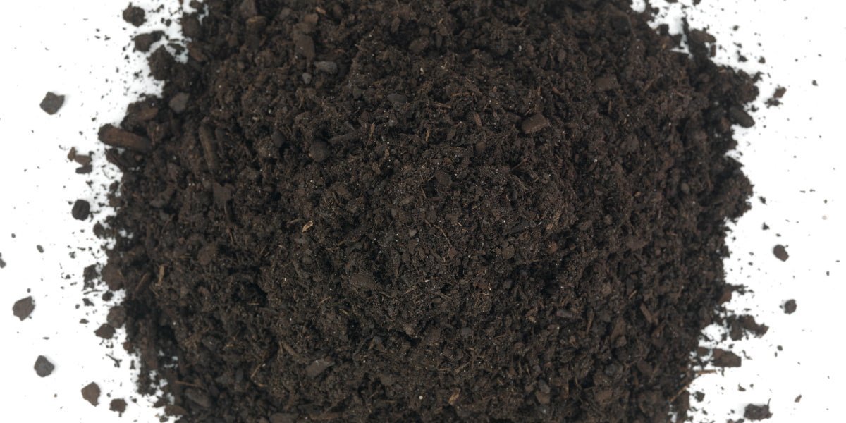 How to Choose Between Super Soil and Living Soil for Your Garden