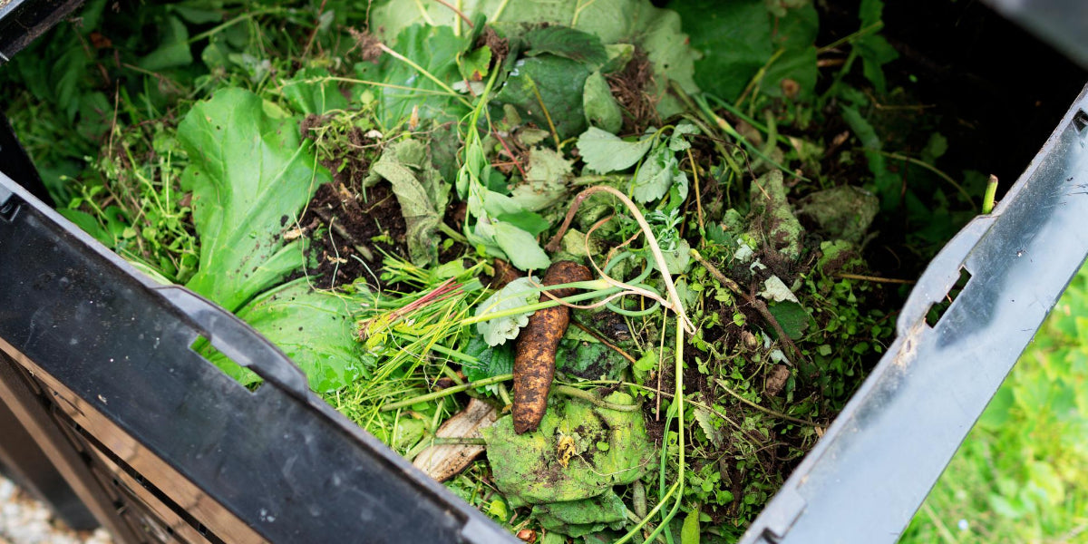 Chop and Drop Gardening: The Ultimate Guide to Sheet Composting