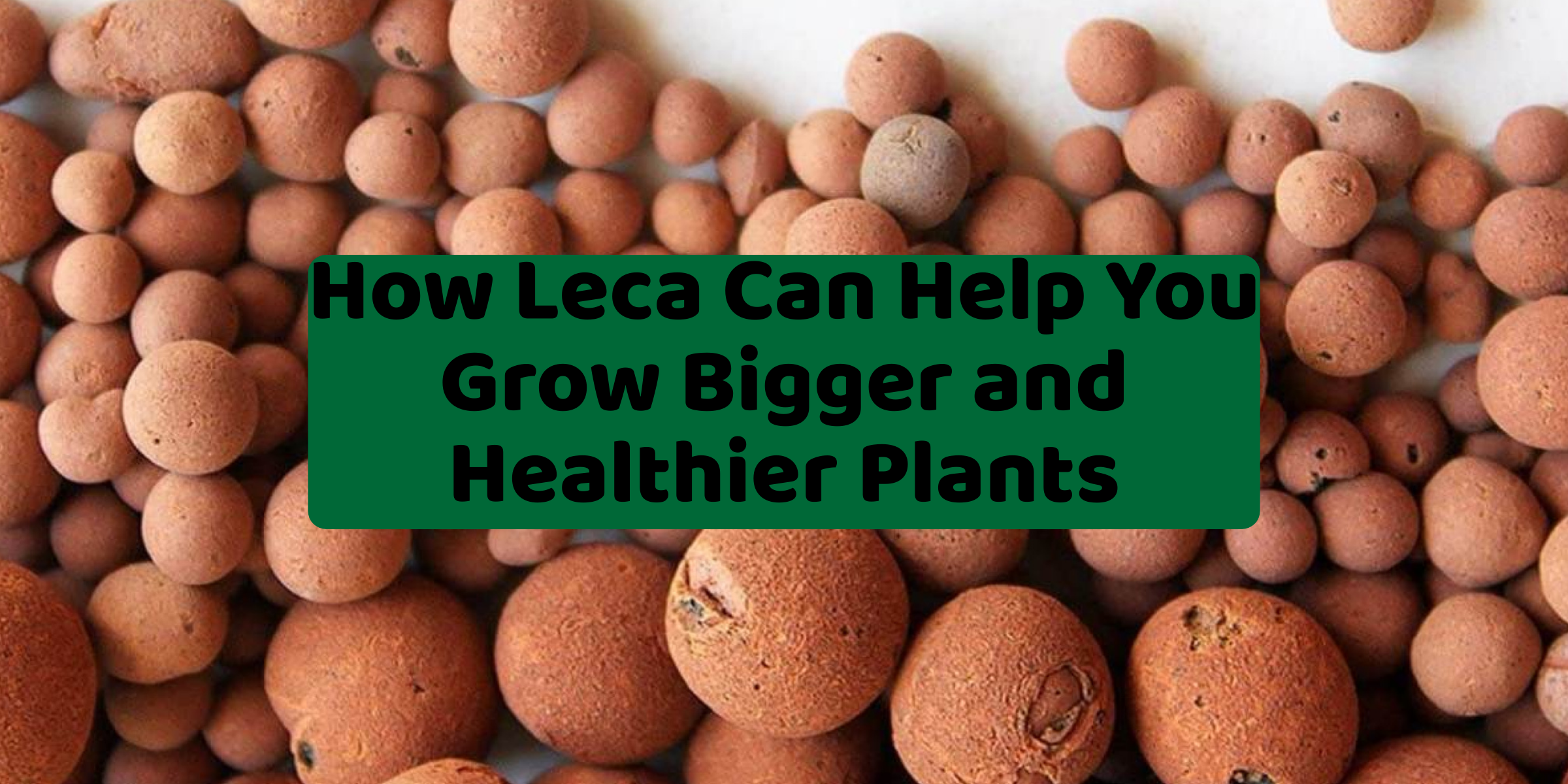 How Leca Can Help You Grow Bigger and Healthier Plants