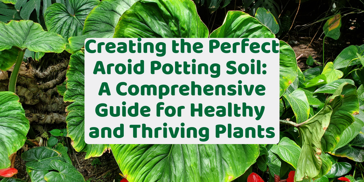Creating the Perfect Aroid Potting Soil: A Comprehensive Guide for Healthy and Thriving Plants