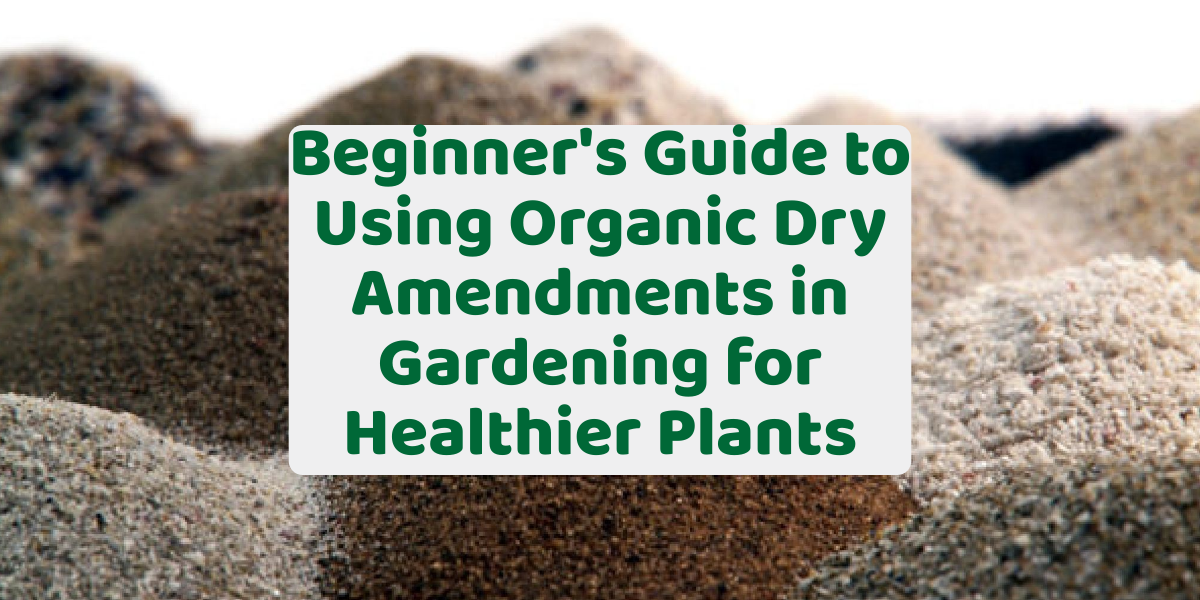 Beginner's Guide to Using Organic Dry Amendments in Gardening for Healthier Plants