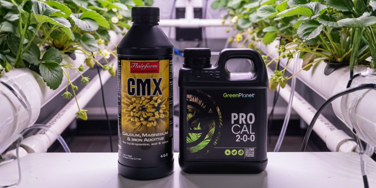 The Ultimate Australian Guide to Cal-Mag in Hydroponics (2025 Edition)
