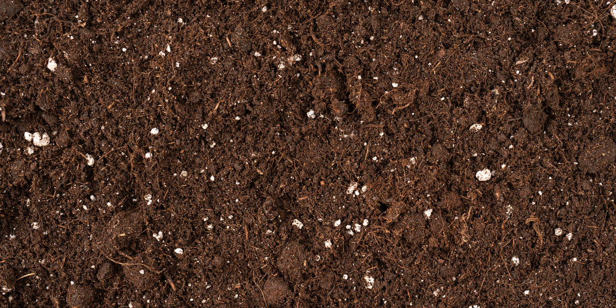 Building The Best Soil for Your Potted Plants - Recipe Included