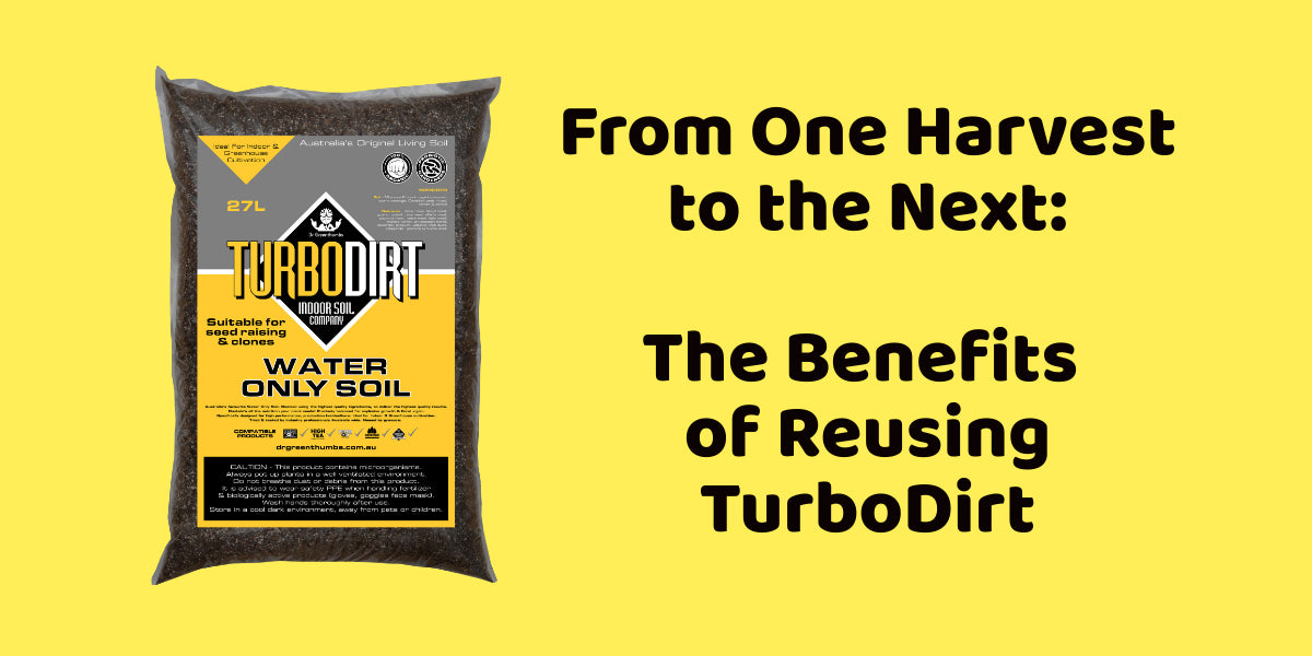 From One Harvest to the Next: The Benefits of Reusing TurboDirt
