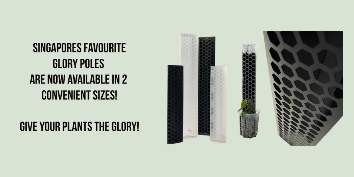 Transform Your Houseplants with These Innovative Plant Totem Pole Designs