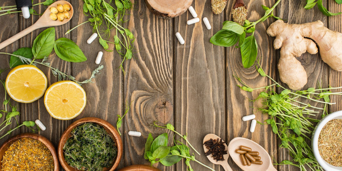 The Top Medicinal Plants to Grow in Living Soil for Natural Remedies