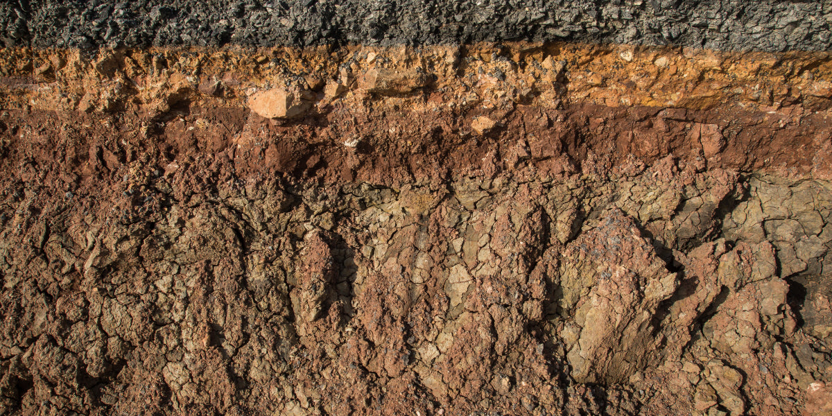 Living Soil vs. Traditional Soil: What You Need to Know About Nutrient Recycling