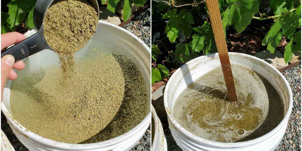 How to Make Your Own Liquid Fertiliser (3 Easy Methods Using Organic Dry Amendments)