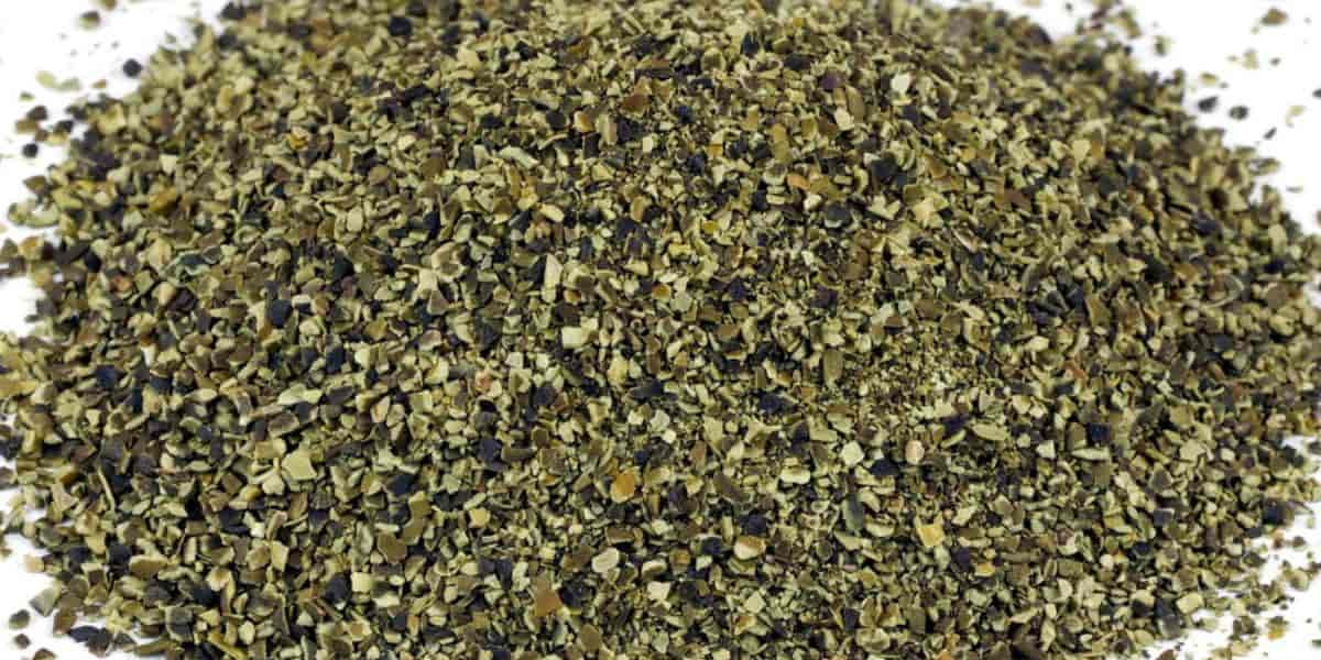 Kelp Meal: Australia’s Ocean-Powered Fertiliser (2025 Guide)