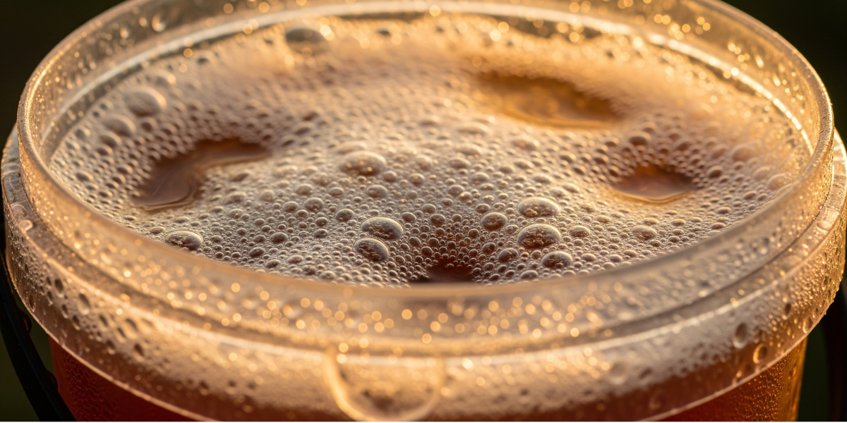 Brew Super-Charged Compost Tea in 24 Hours—No Fancy Gear Needed