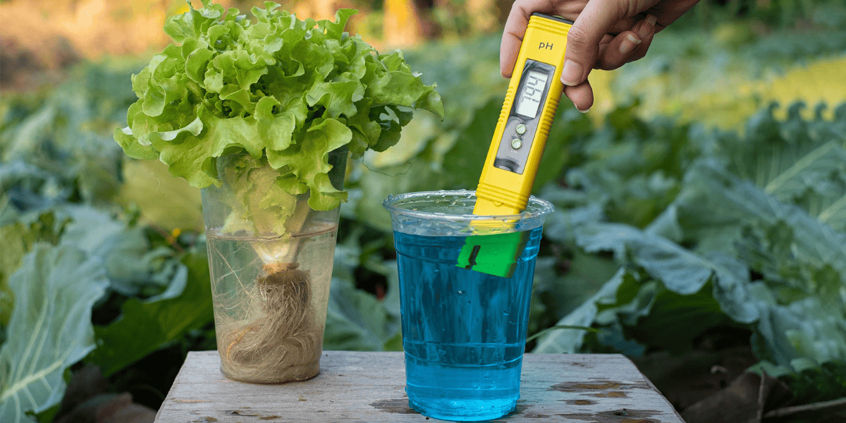 Organic Hydroponic Nutrients: The Straight-Up Aussie Guide (2025 Update)