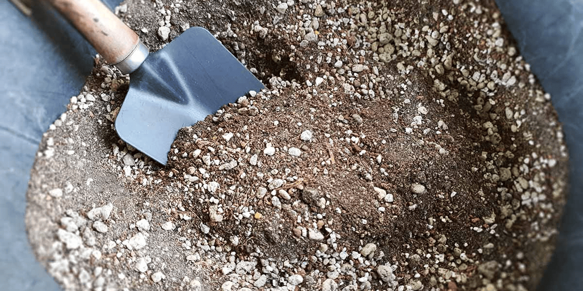 DIY Cactus Soil Mix (Metric Recipe) – Grow Thriving Aussie Cacti (Fast-Draining, Anti-Rot Recipe)