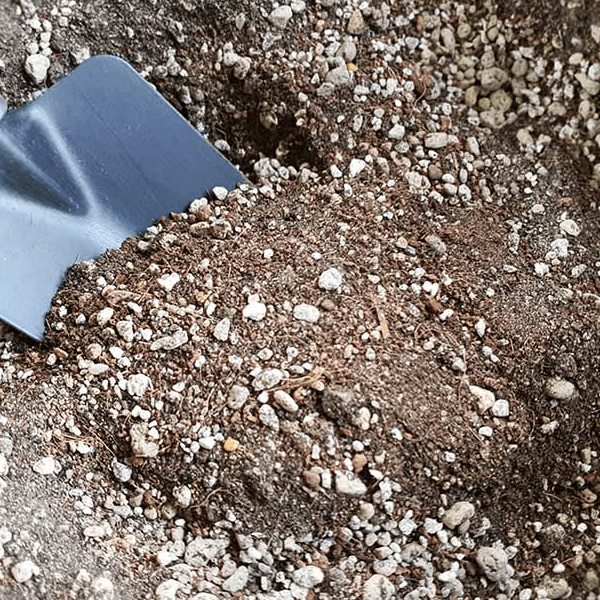 DIY Cactus Soil Mix Recipe (Metric) | Fast-Draining AU Blend