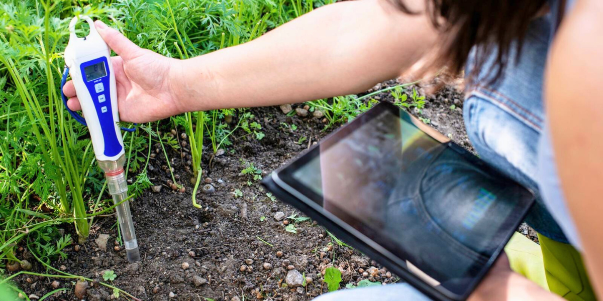 How to Measure Your Soil’s pH (The Aussie Gardener’s 2025 Guide)