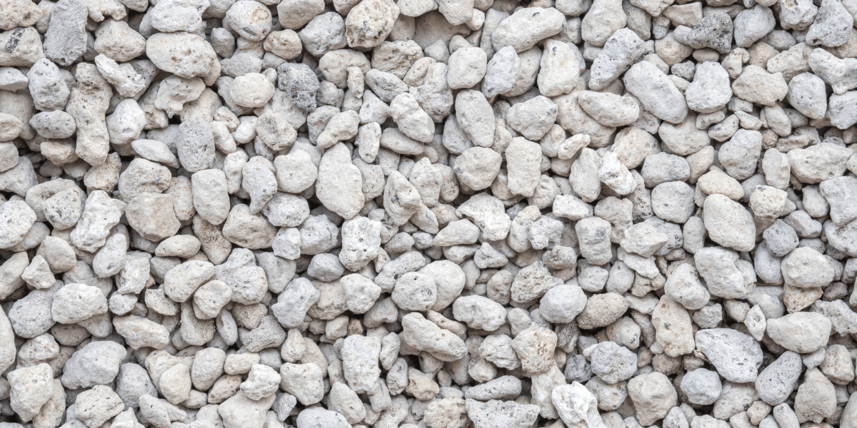 Pumice vs Perlite: Which is the Best Choice for Your Living Soil?