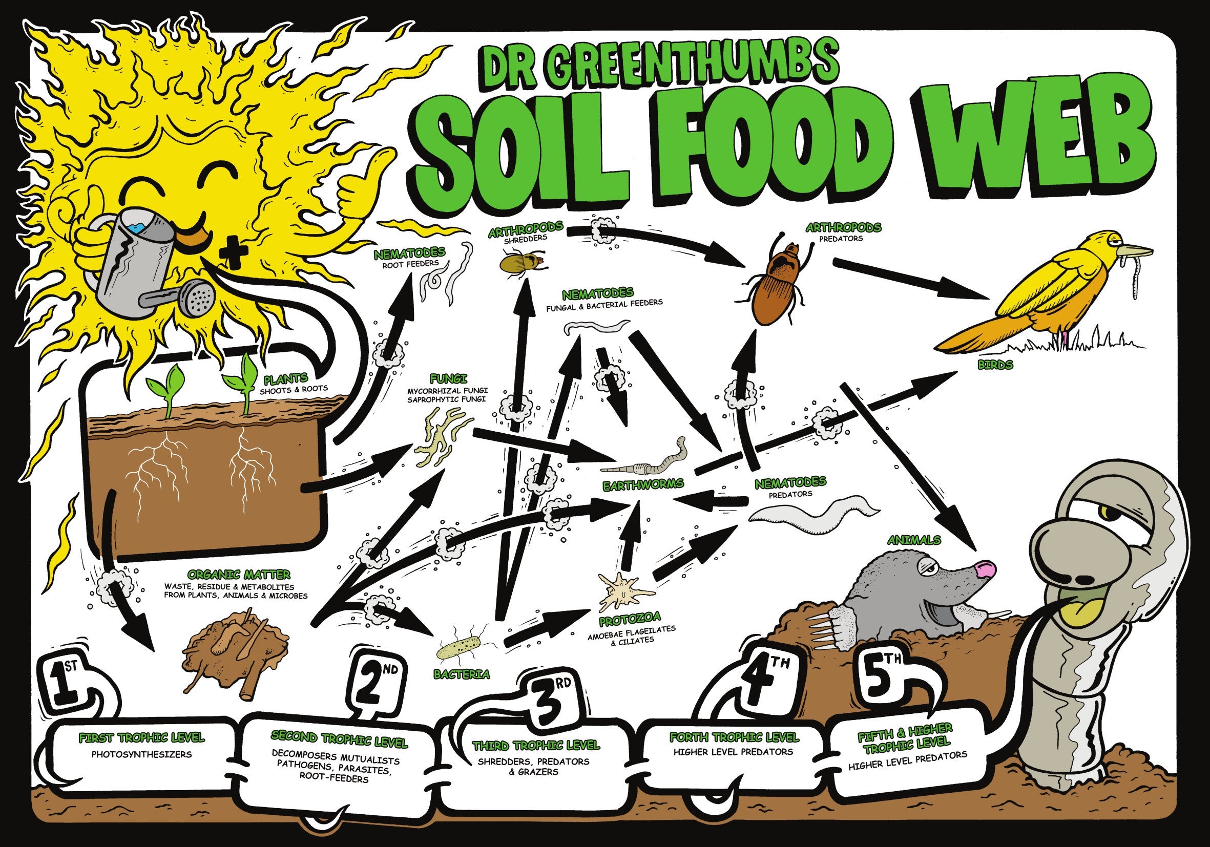 How to build your own Living Soil in Australia