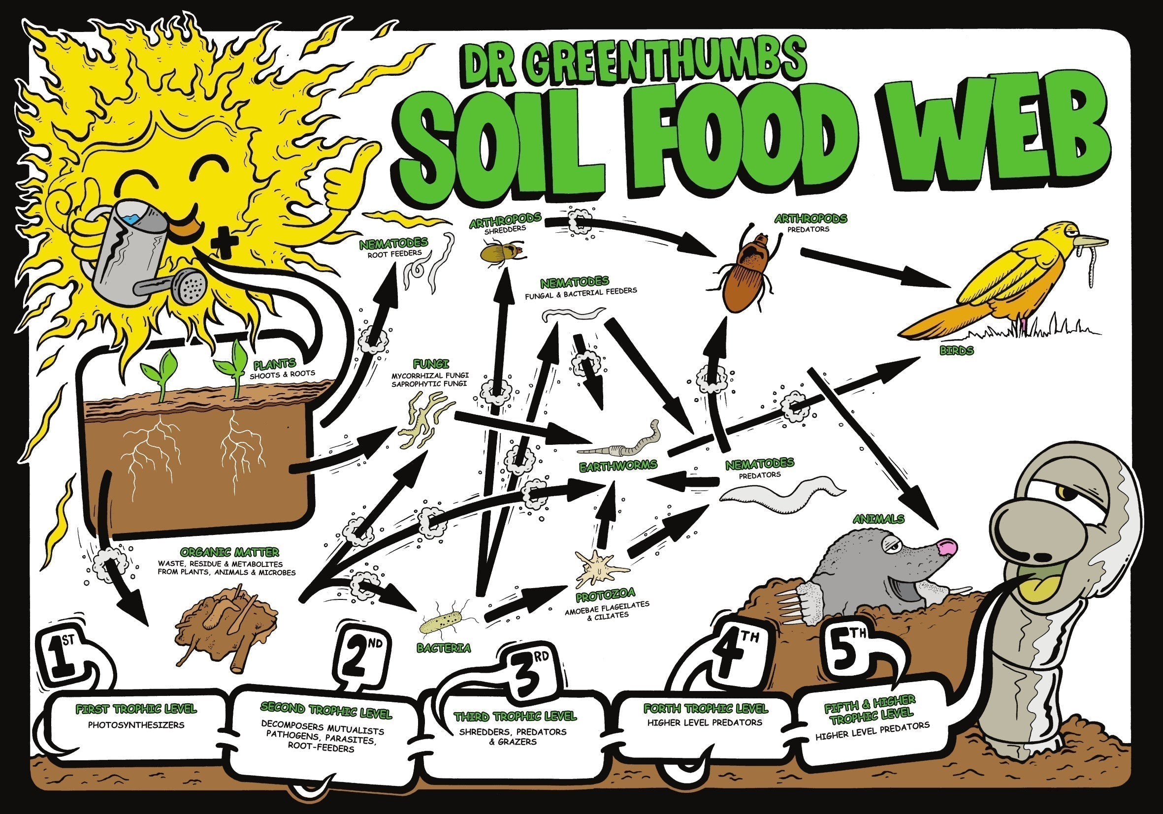 How to build your own Living Soil in Australia