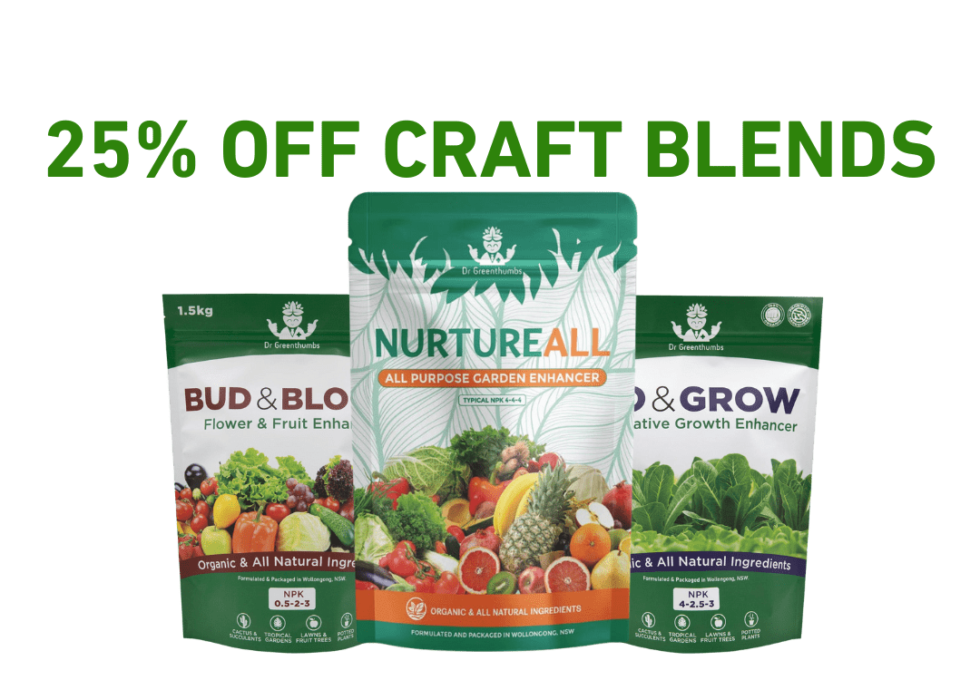 Three bags of plant food on green background.