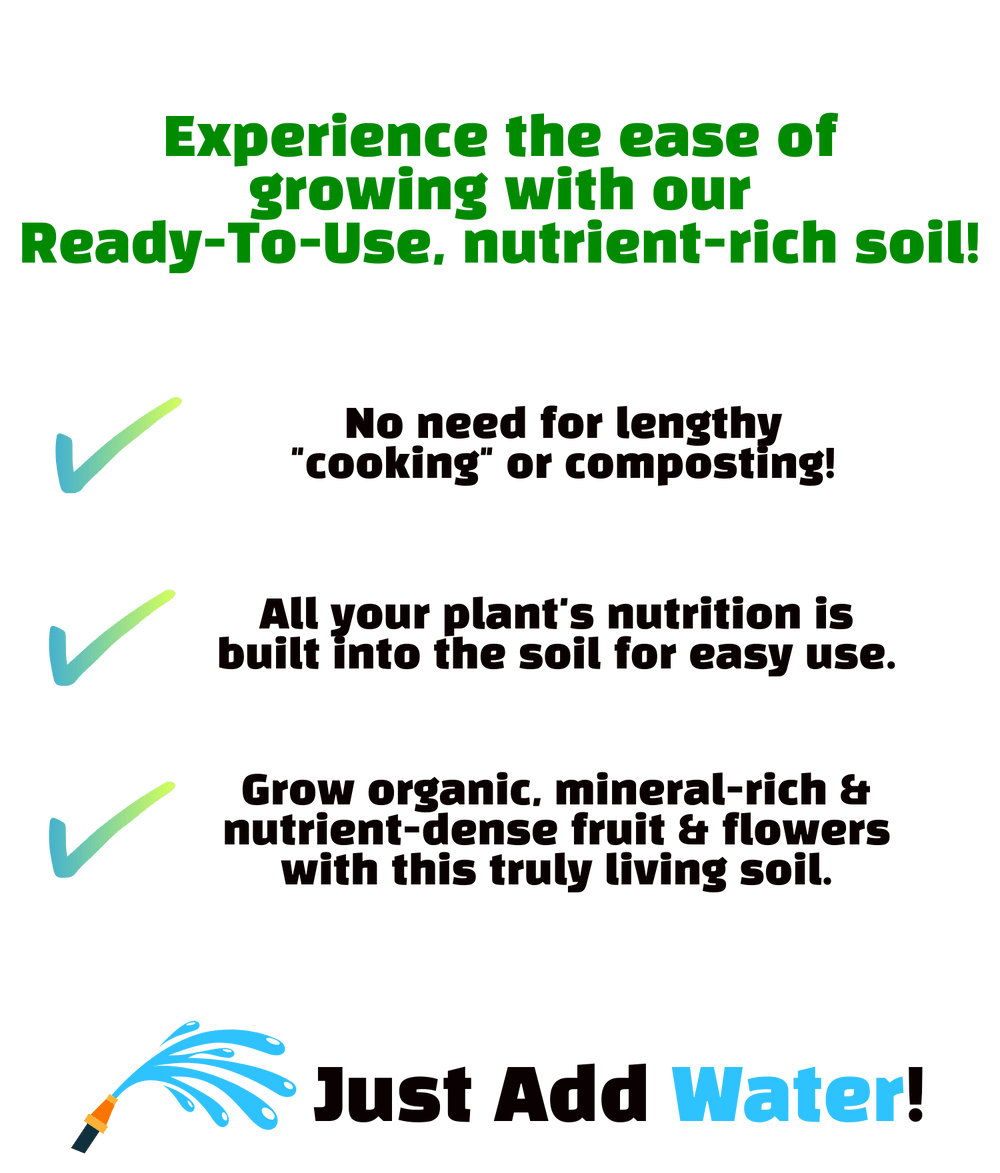 Turbodirtlivingsoilofficial