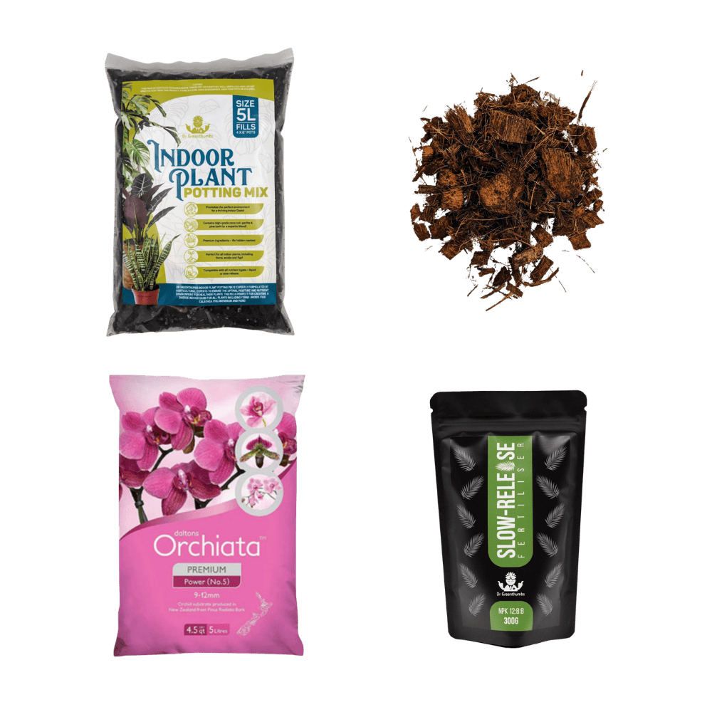 Spring Repot Pack — $40 | Indoor Plant & Tropical Repotting Mix Bundle
