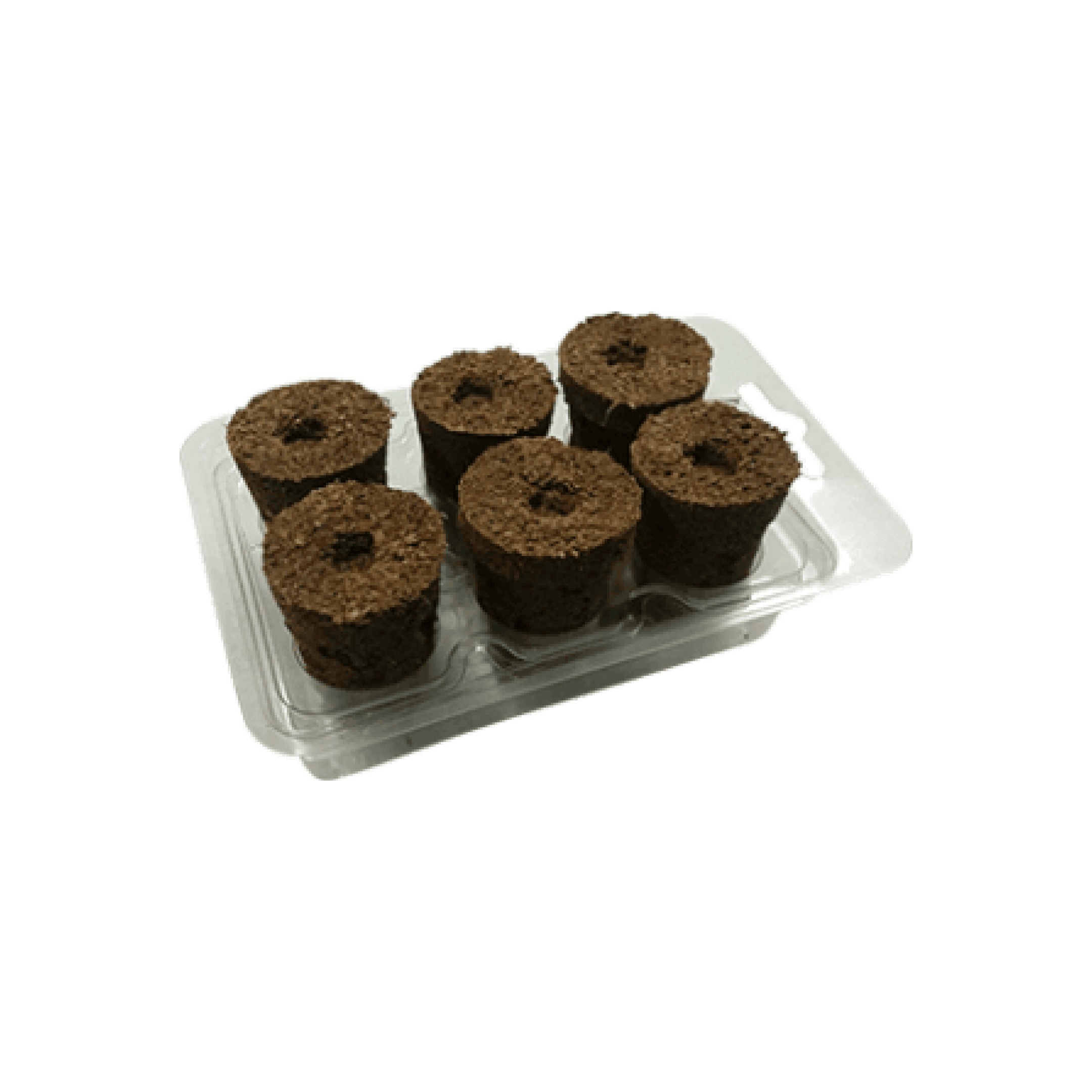 Eazy Plug Gardening Accessories > Propagation Tools > Rooting Cubes & Rockwool 6 Pack - Seed Sowing Kit Eazy Plug Rooting Cubes (12 / 24 / 77 Packs)