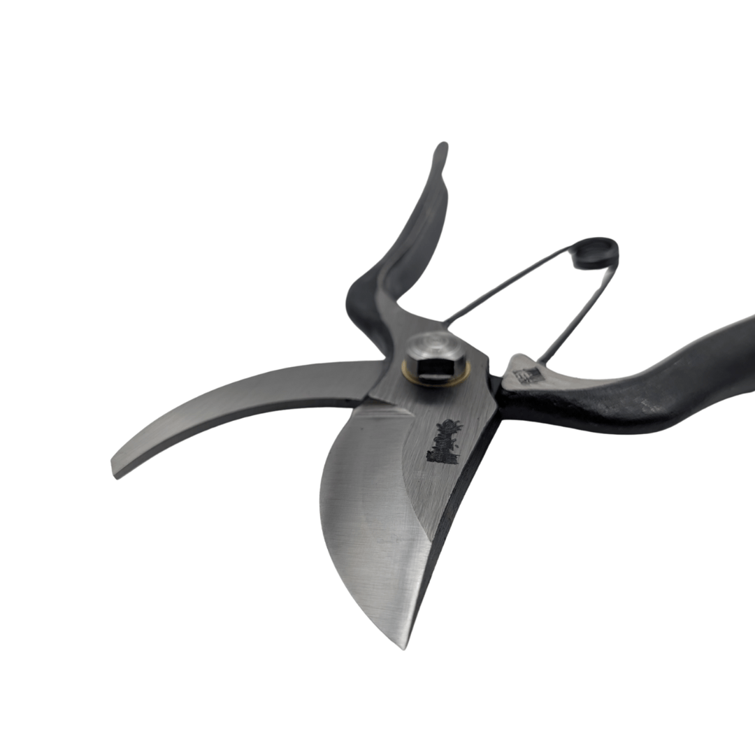 KIYOZURU Gardening Accessories > Propagation Tools > Secateurs & Scissors KIYOHIDE 200 Traditional Japanese Pruner – 200mm Drop Forged Carbon Steel Garden Shears
