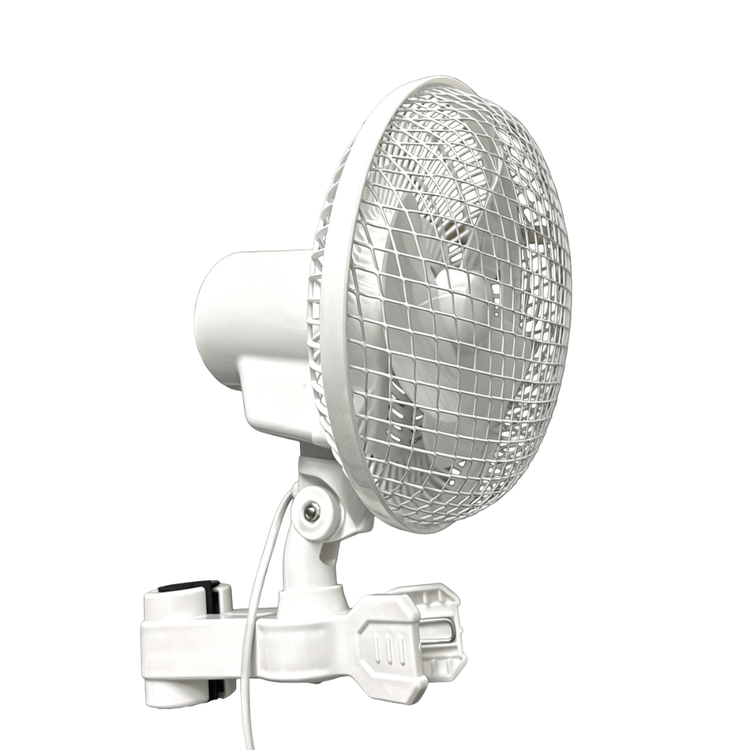 Bloom Works 20W Oscillating Clip Fan – 6 Inch Grow Tent Fan with 2 Speeds for Indoor Plants & Horticulture