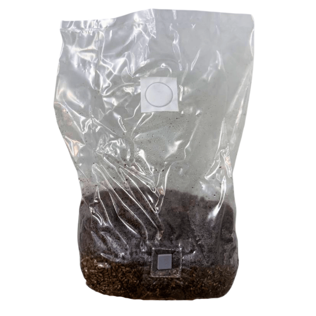 All-In-One Master Mix Substrate Bag 2kg Commercial Grade