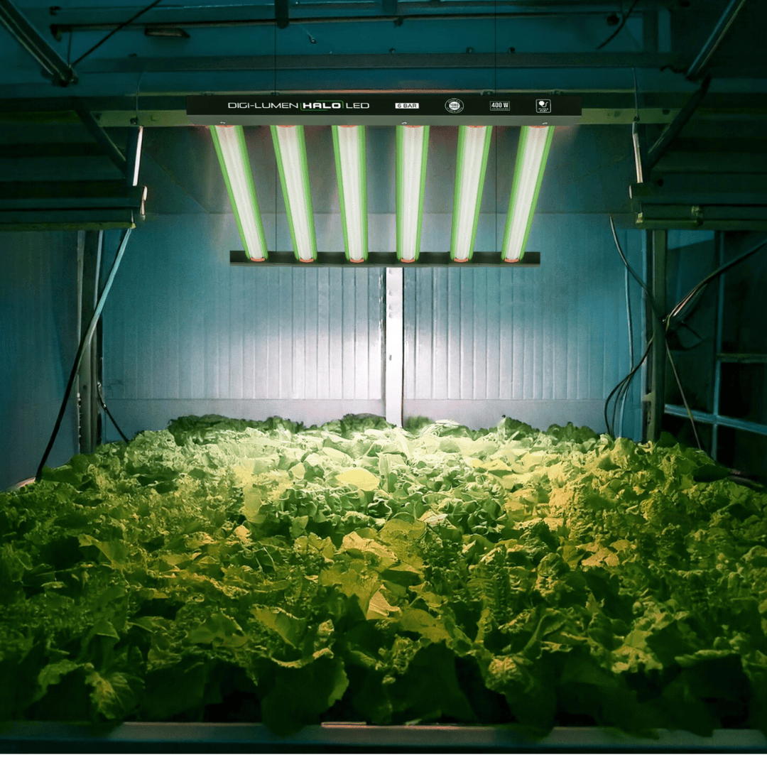 WHG Hydroponic Supplies > Lighting > LED Lights Digi-Lumen HALO 400W Full-Spectrum LED Grow Light - High-Efficiency 6-Bar Fixture