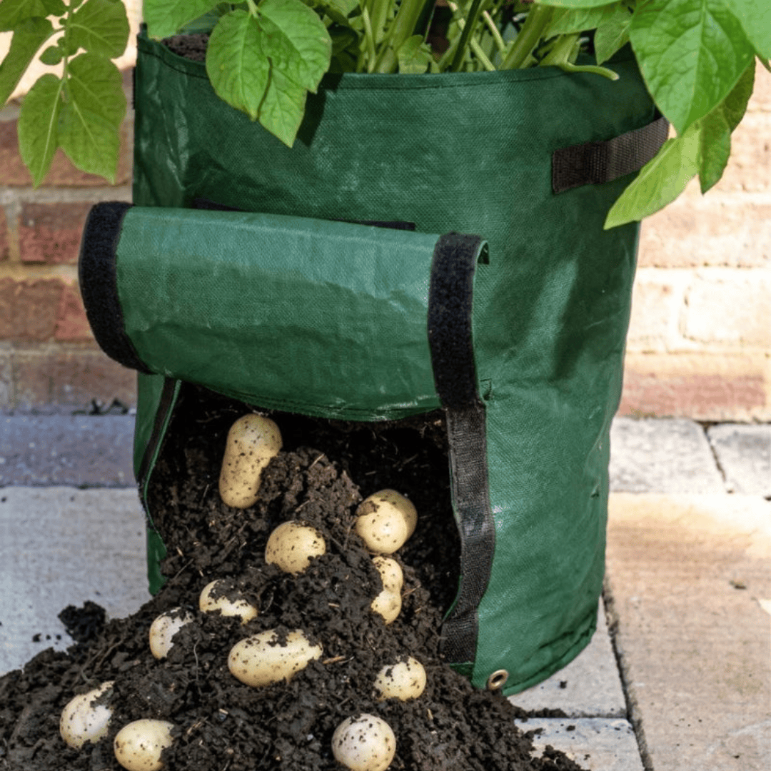 Ryset Potato Grow Bag with Harvest Flap and Handles