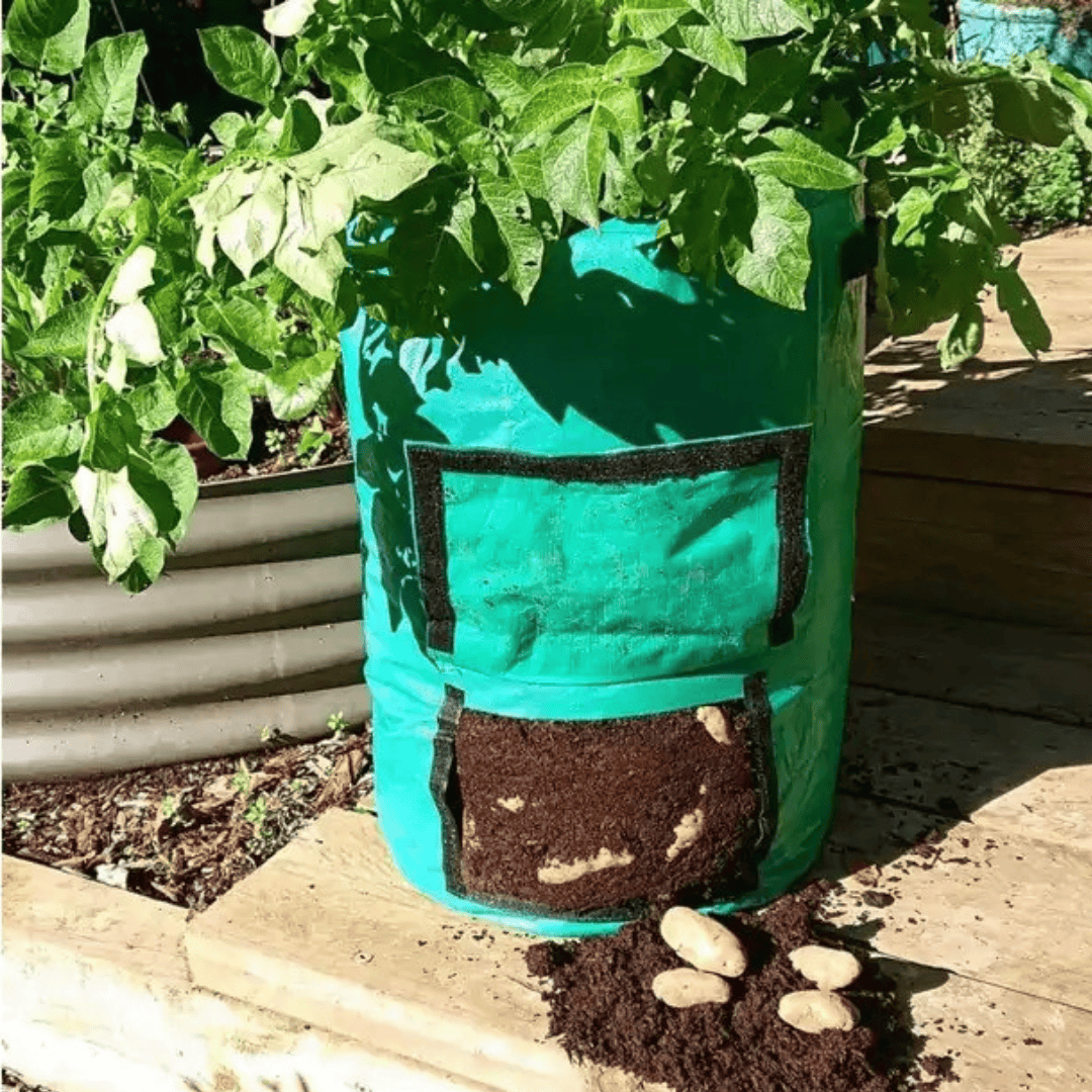 Ryset Potato Grow Bag with Harvest Flap and Handles