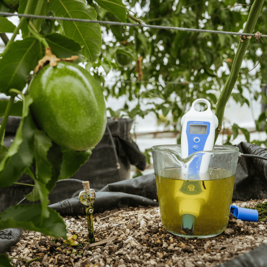 Bluelab pH PenPlus Replaceable Probe - Digital pH & Temperature Meter for Hydroponics, Water Testing & Grow Systems