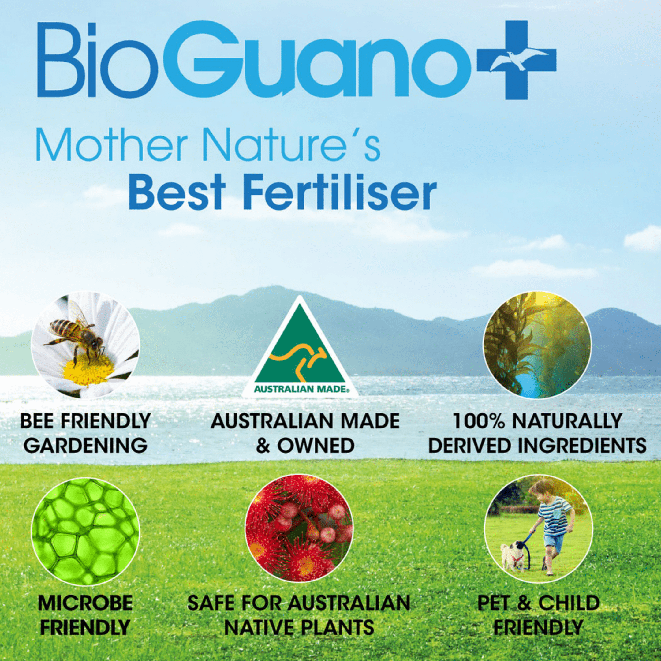 BioGuano Organic Gardening > Liquid Fertilisers BioGuano+ Phosphorus Fertilizer 1 L (Liquid Seabird Guano)