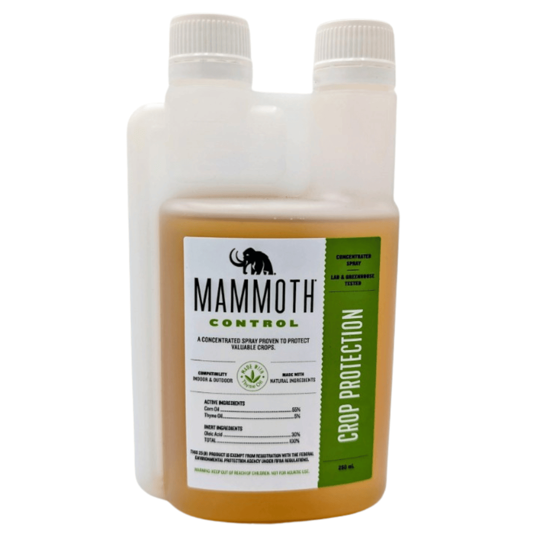 Mammoth Organic Gardening > Organic Pest Control 250ml Mammoth Control Crop Protection Concentrate Natural Fungicide, Miticide & Insecticide Spray for Plants