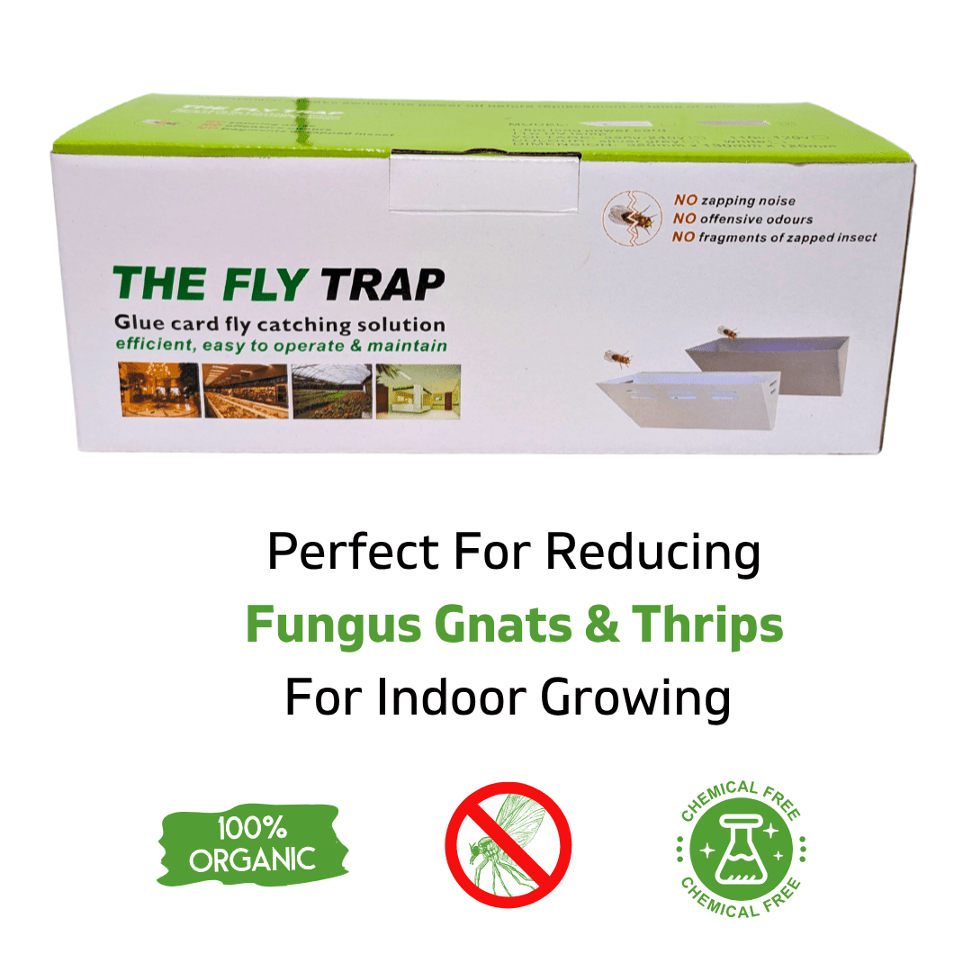 Dr Greenthumbs Organic Gardening > Organic Pest Control Electronic Gnat & Thrip Trap with UV Light and 8 Glue Card Refills