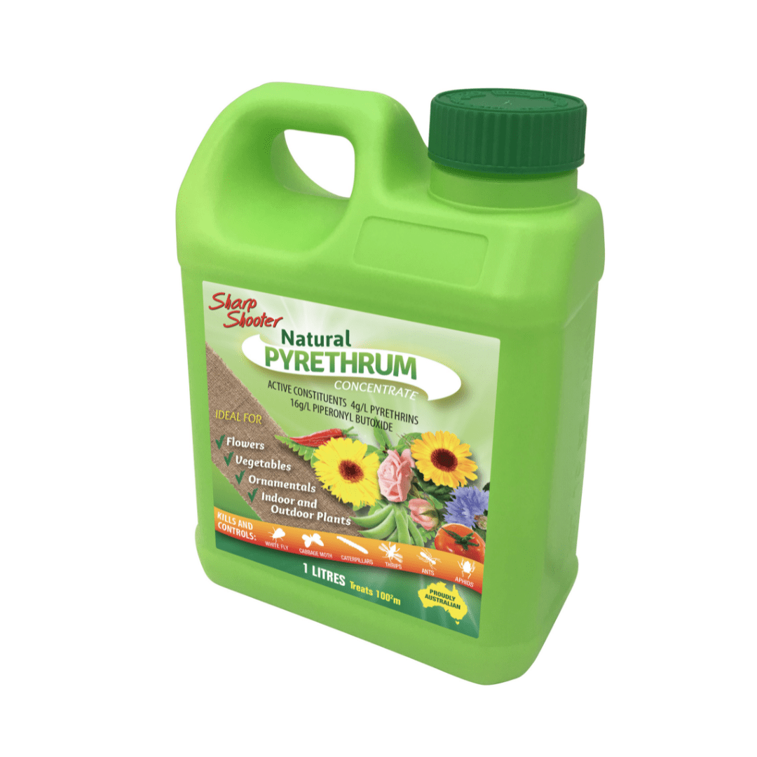 Sharp Shooter Organic Gardening > Organic Pest Control Pyrethrum Concentrate - Organic Pesticide Insecticide (250ml)