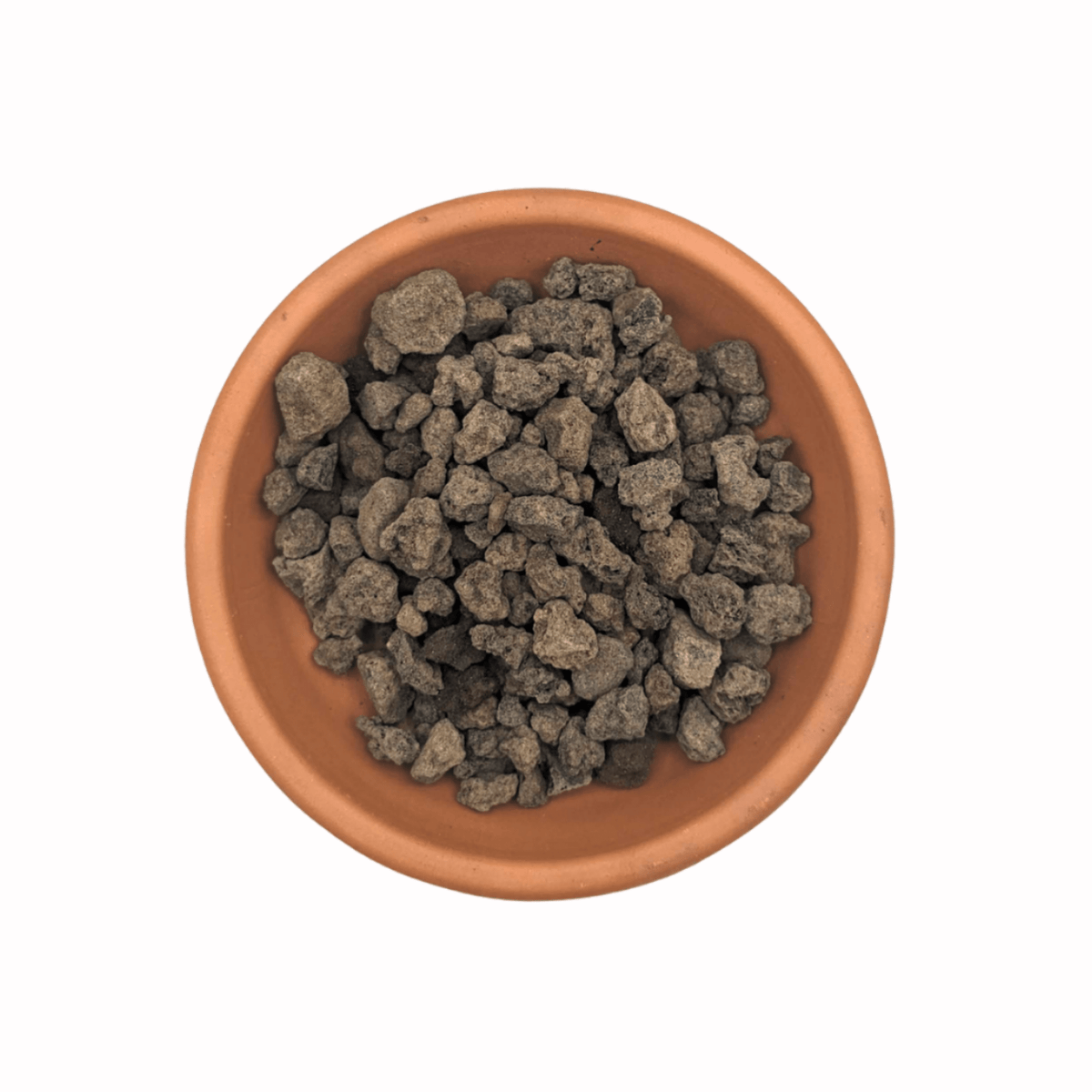 Quincan 5-10mm (Cactus, Bonsai & Tropical Plants)