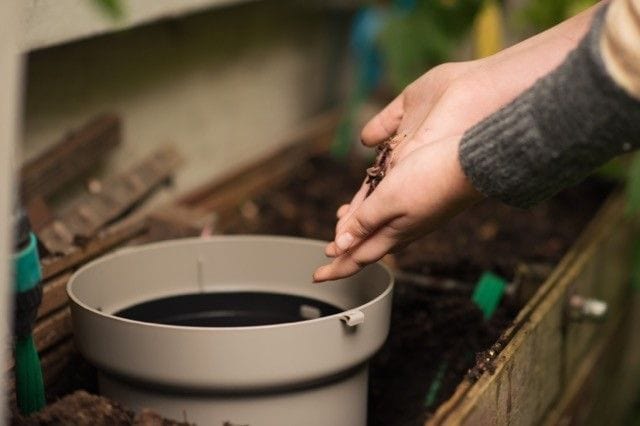 Urbalive Organic Gardening > Potting Soil & Growing Media > All Soil & Growing Media In Ground Worm Farm & Composter - 12L